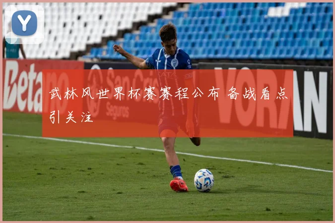 武林风世界杯赛赛程公布 备战看点引关注
