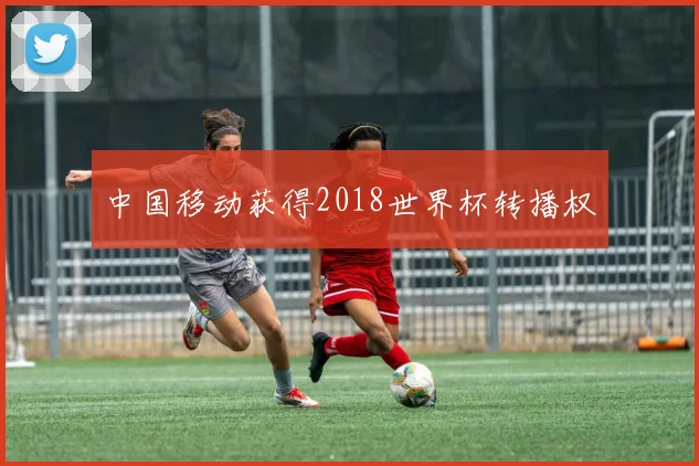 中国移动获得2018世界杯转播权