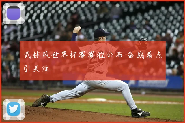 武林风世界杯赛赛程公布 备战看点引关注