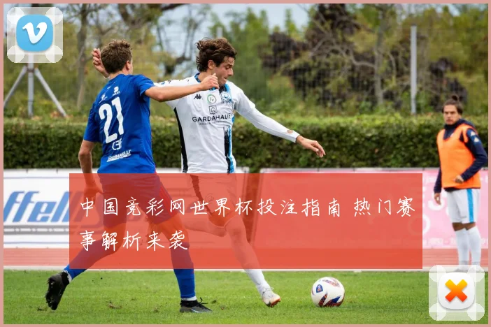 中国竞彩网世界杯投注指南 热门赛事解析来袭