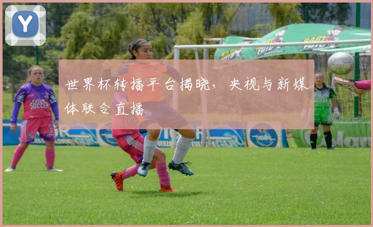 世界杯转播平台揭晓，央视与新媒体联合直播