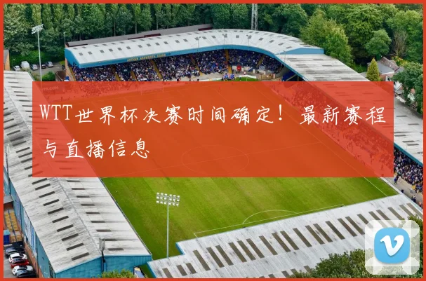 WTT世界杯决赛时间确定！最新赛程与直播信息