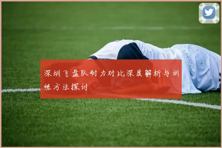 深圳飞盘队耐力对比深度解析与训练方法探讨