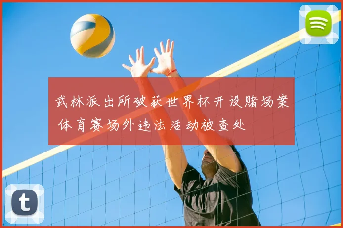 武林派出所破获世界杯开设赌场案 体育赛场外违法活动被查处