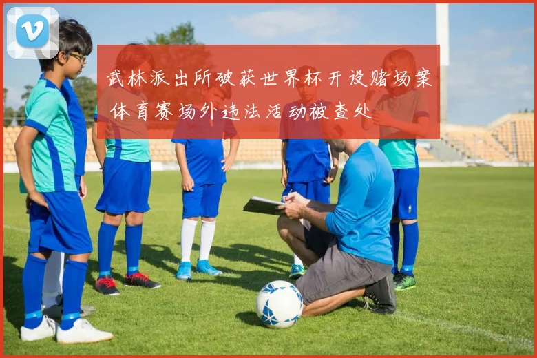 武林派出所破获世界杯开设赌场案 体育赛场外违法活动被查处