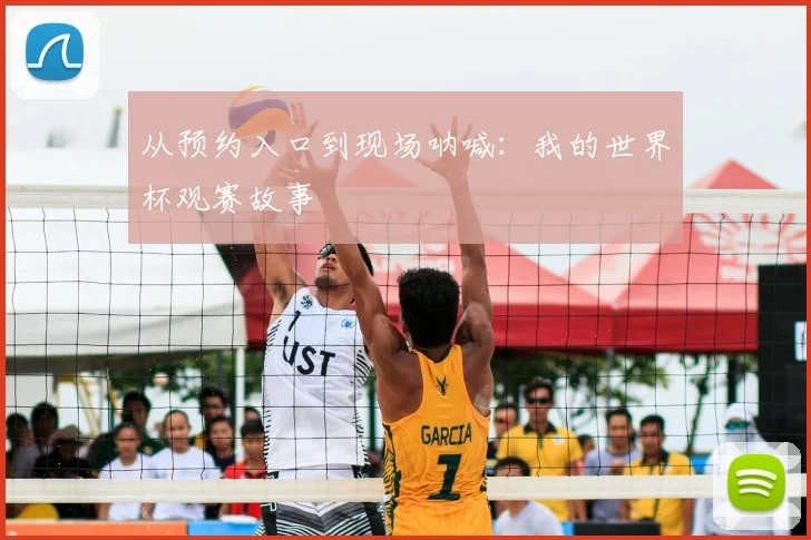 从预约入口到现场呐喊：我的世界杯观赛故事