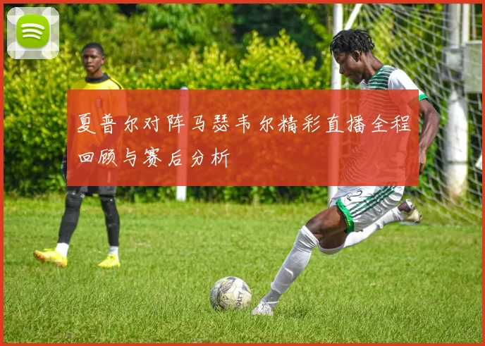 夏普尔对阵马瑟韦尔精彩直播全程回顾与赛后分析